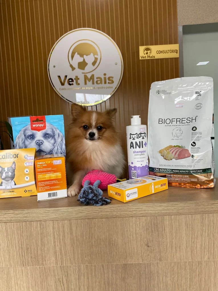 Balcão da loja pet da Vet Mais Três Fronteiras, em Três Fronteiras/SP, com produtos para cães e gatos